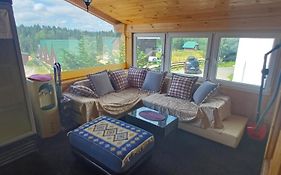 Apartments Igor