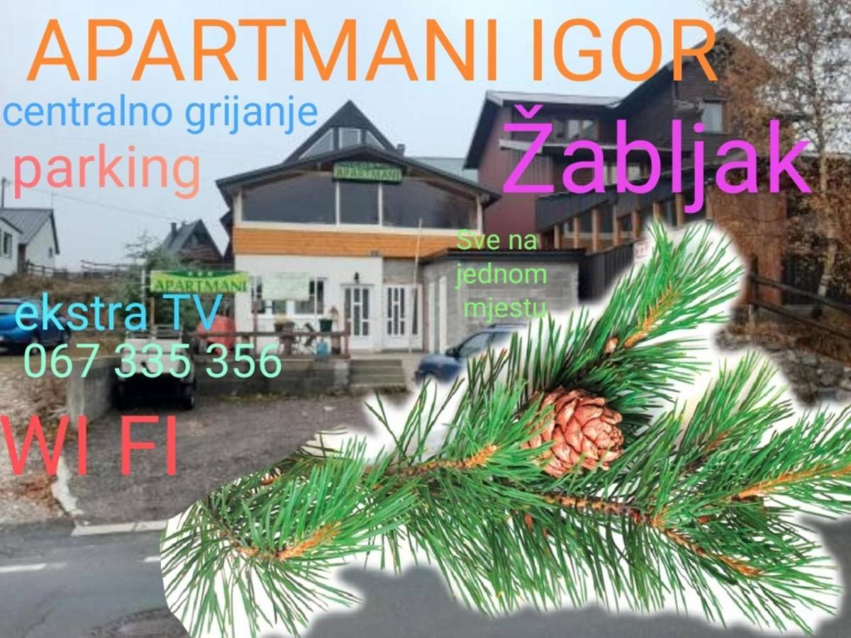 Apartments Igor Жабляк Экстерьер фото